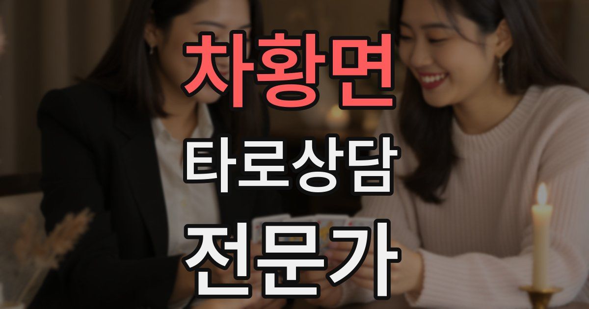 차황면 타로상담전문가 자격증