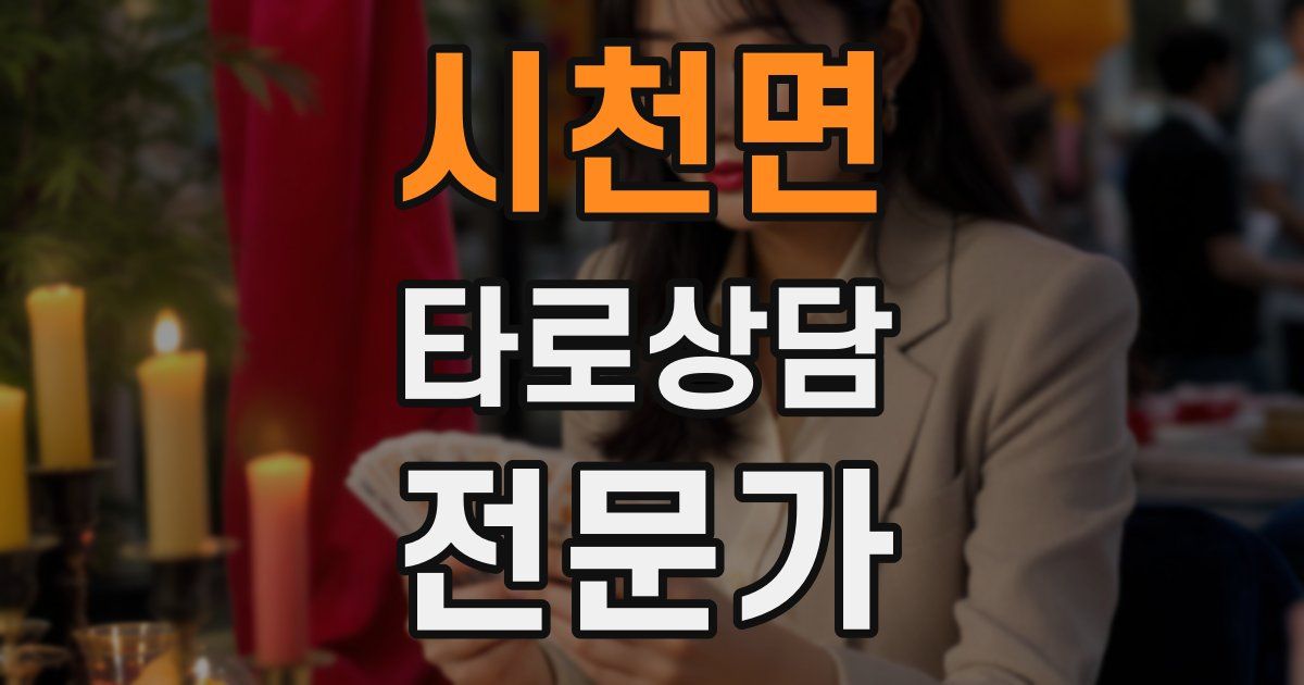 시천면 타로상담전문가 자격증