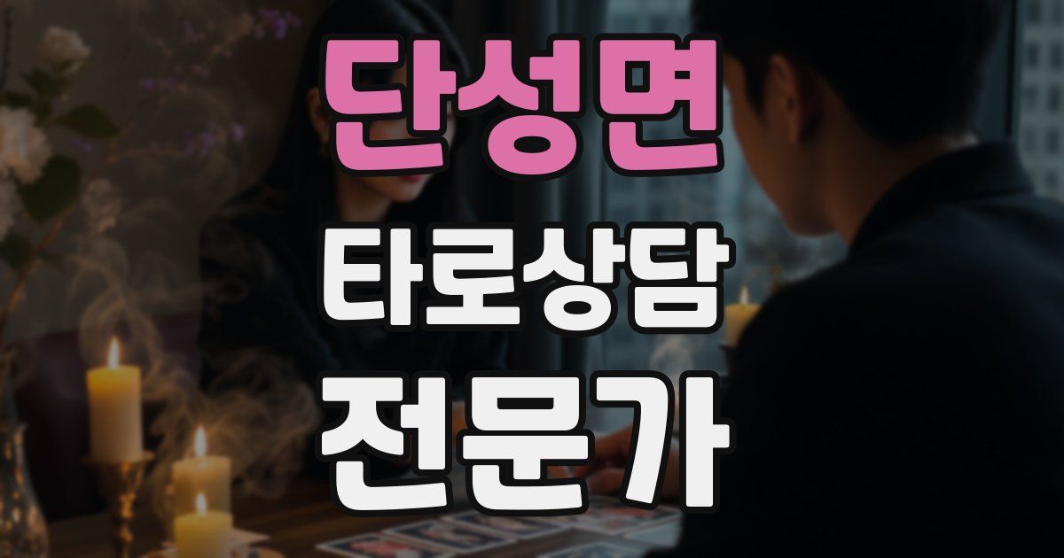 단성면 타로상담전문가 자격증