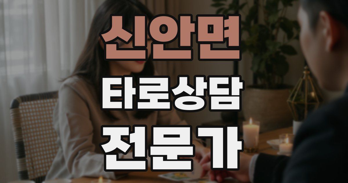 신안면 타로상담전문가 자격증