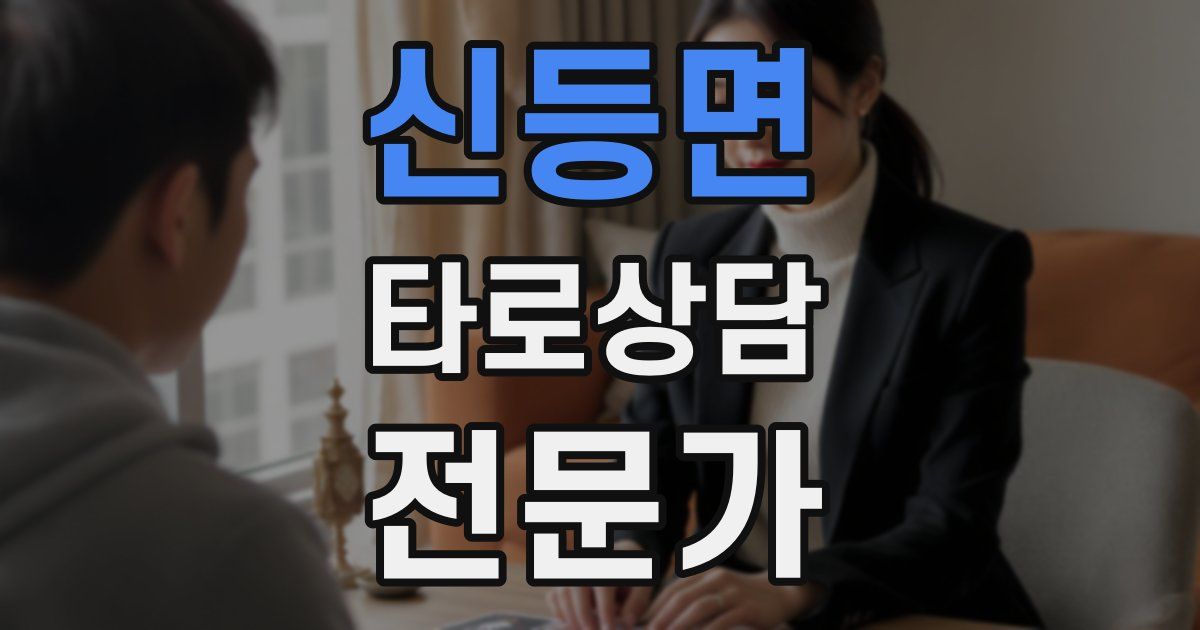 신등면 타로상담전문가 자격증