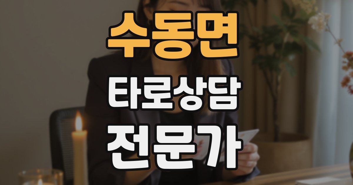 수동면 타로상담전문가 자격증