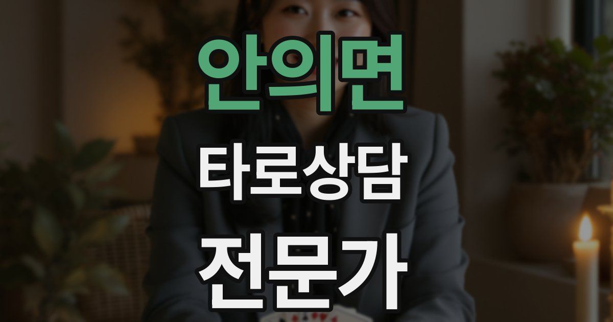 안의면 타로상담전문가 자격증