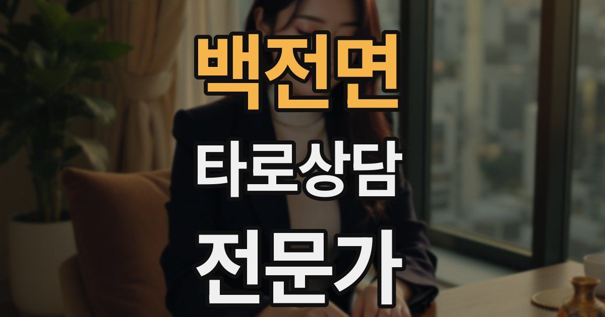 백전면 타로상담전문가 자격증