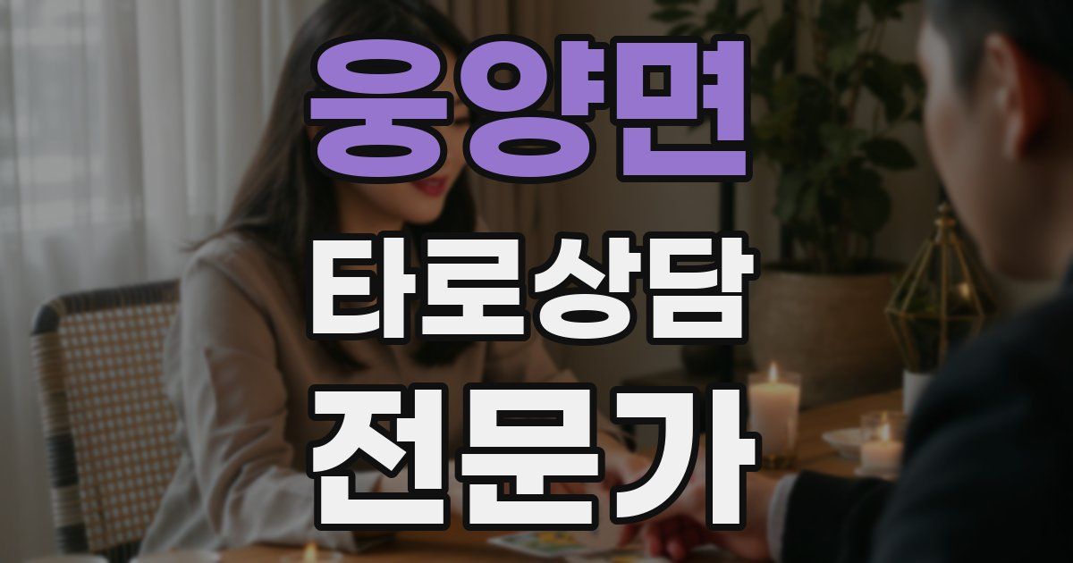 웅양면 타로상담전문가 자격증