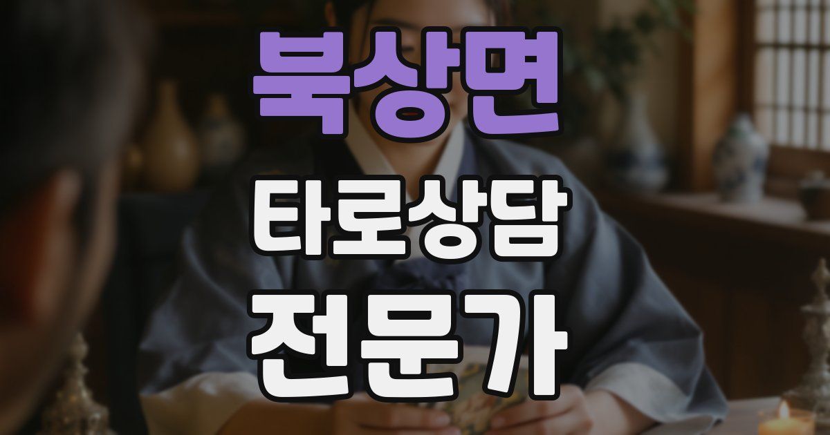 북상면 타로상담전문가 자격증
