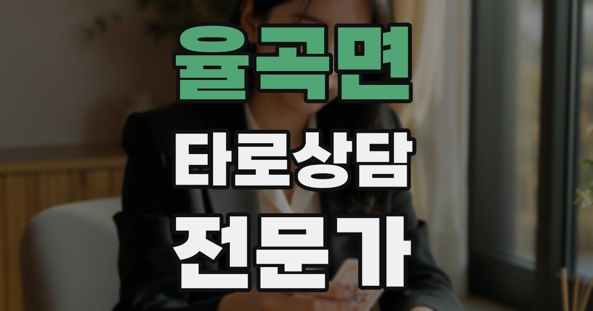 율곡면 타로상담전문가 자격증