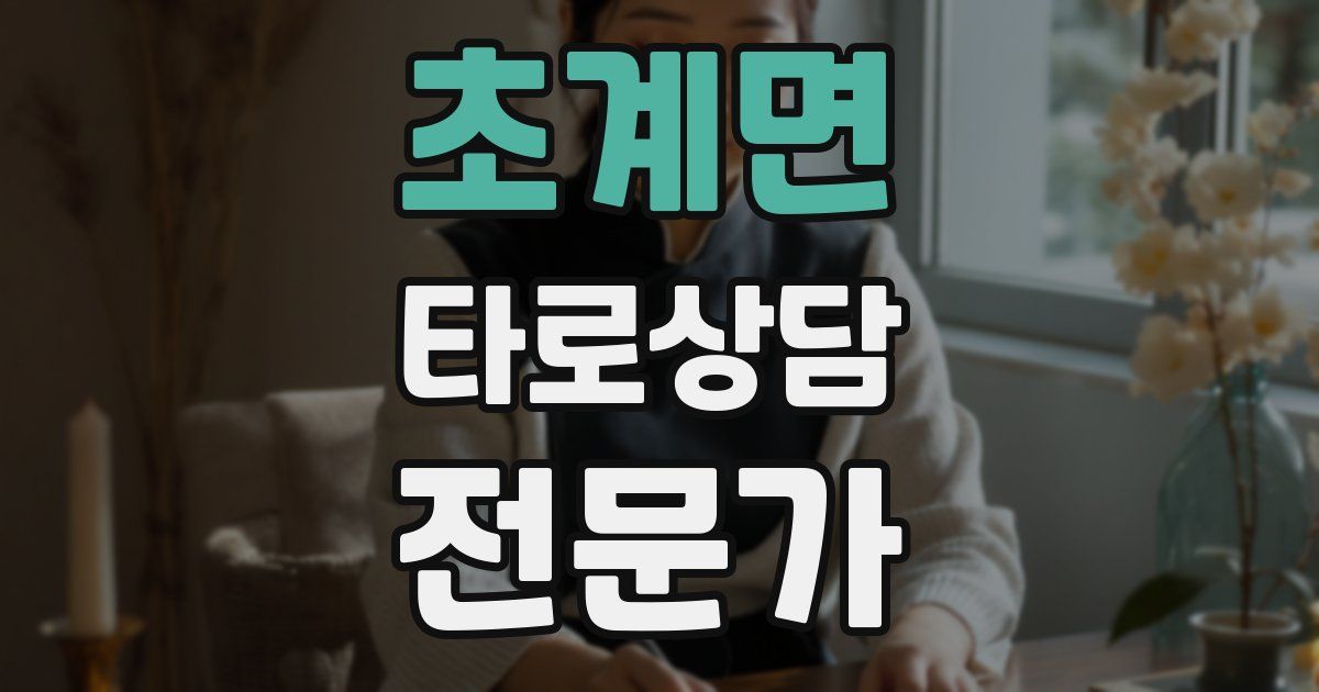 초계면 타로상담전문가 자격증