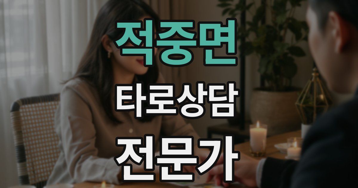 적중면 타로상담전문가 자격증