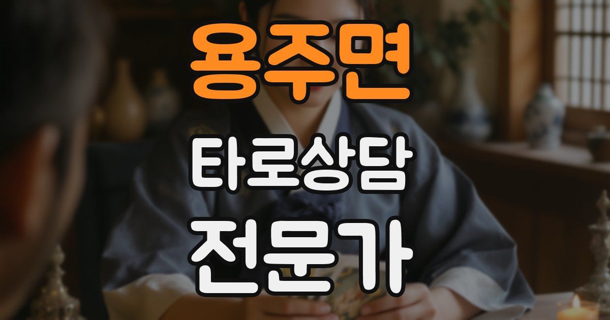 용주면 타로상담전문가 자격증