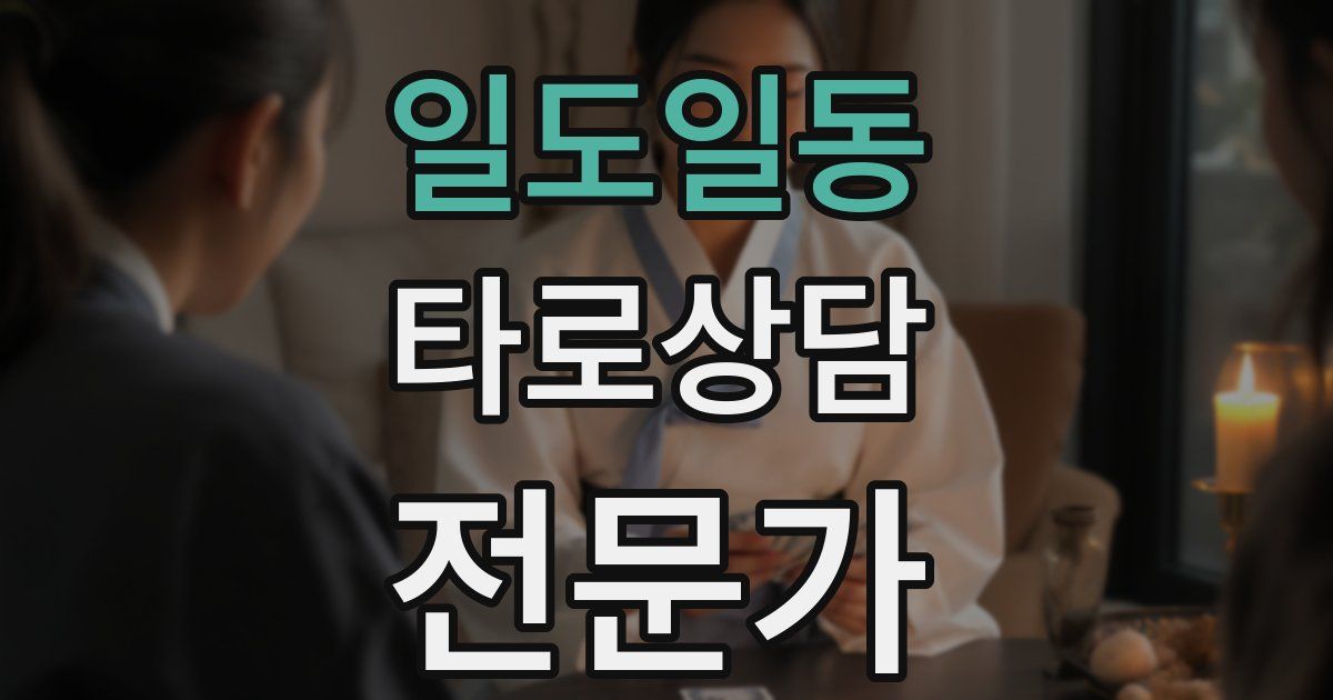 일도일동 타로상담전문가 자격증