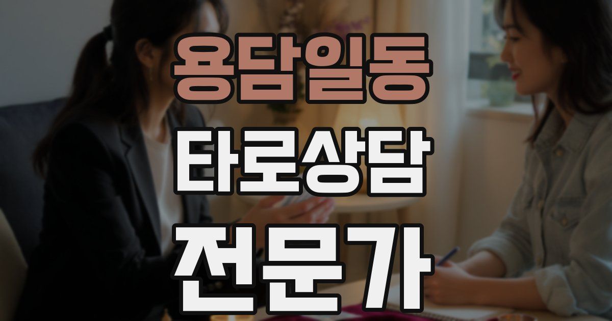 용담일동 타로상담전문가 자격증