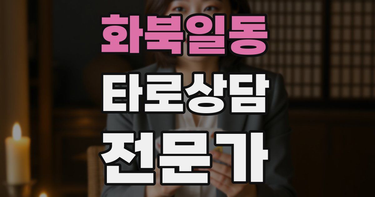 화북일동 타로상담전문가 자격증