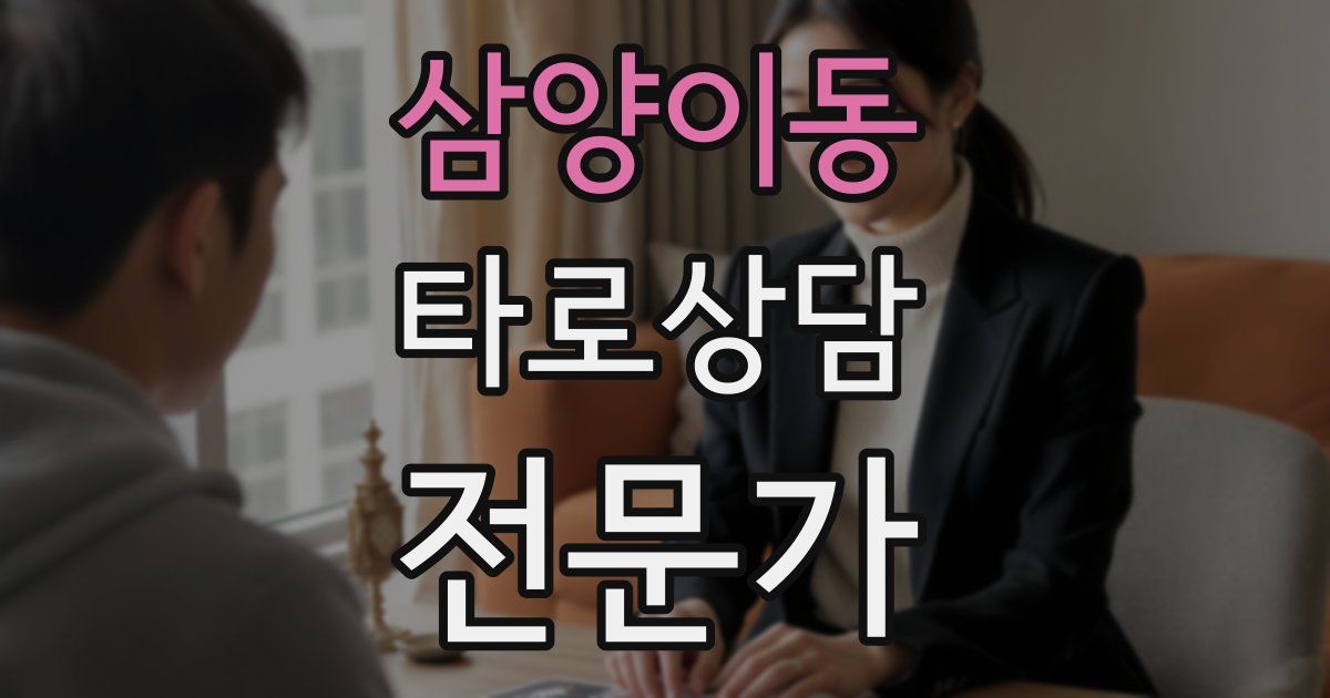 삼양이동 타로상담전문가 자격증