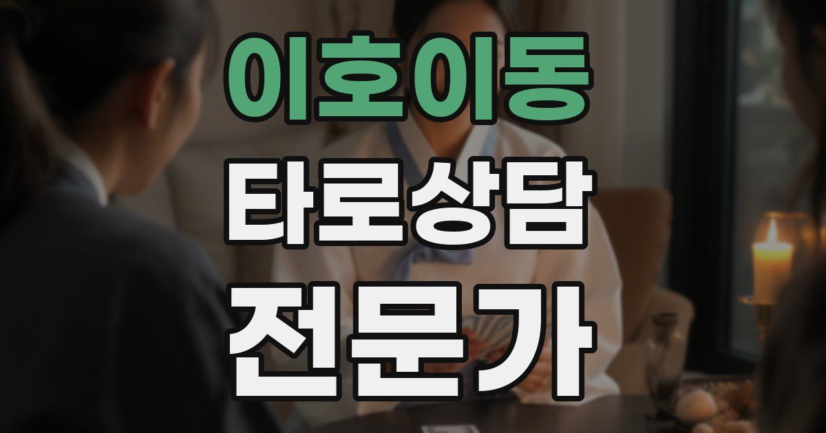 이호이동 타로상담전문가 자격증