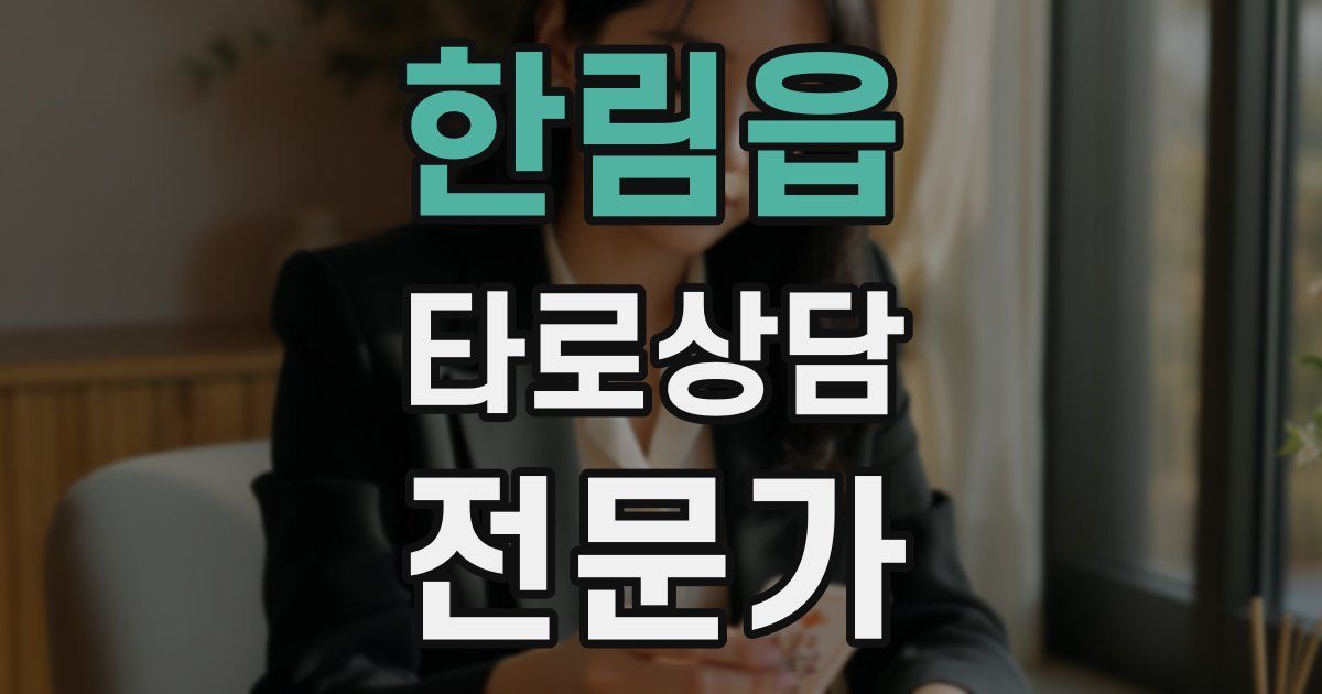 한림읍 타로상담전문가 자격증