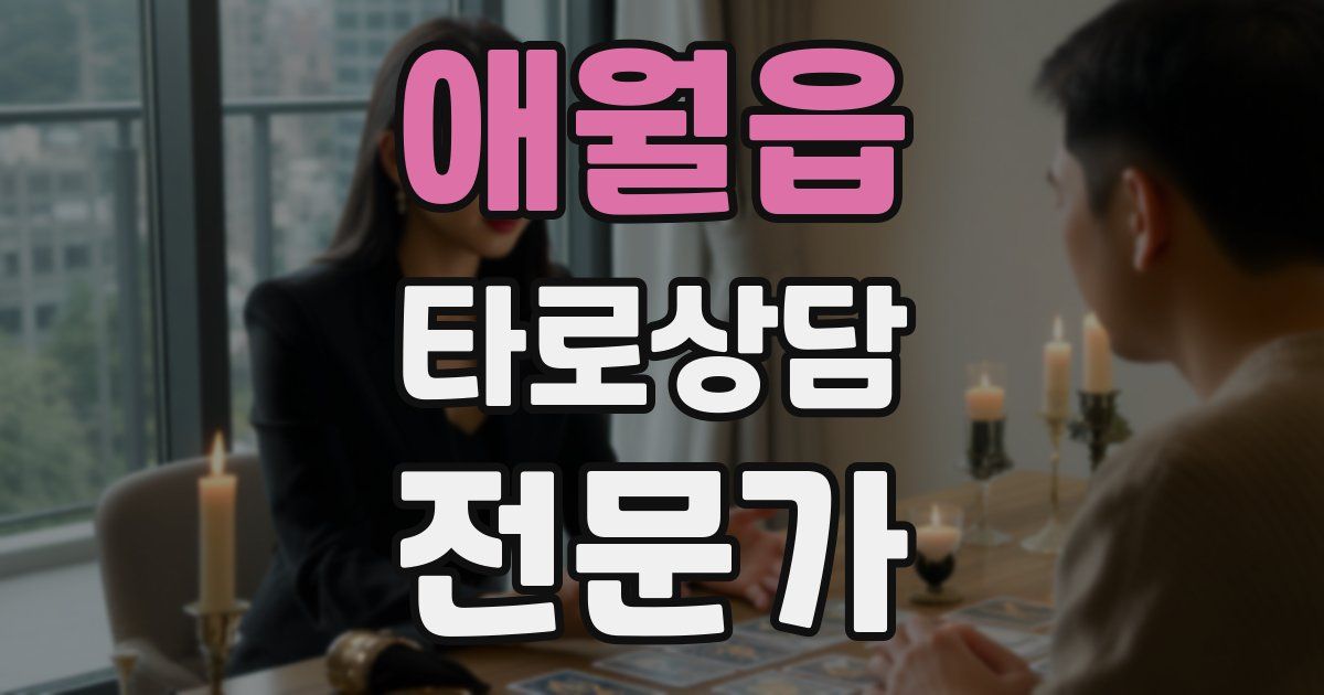 애월읍 타로상담전문가 자격증