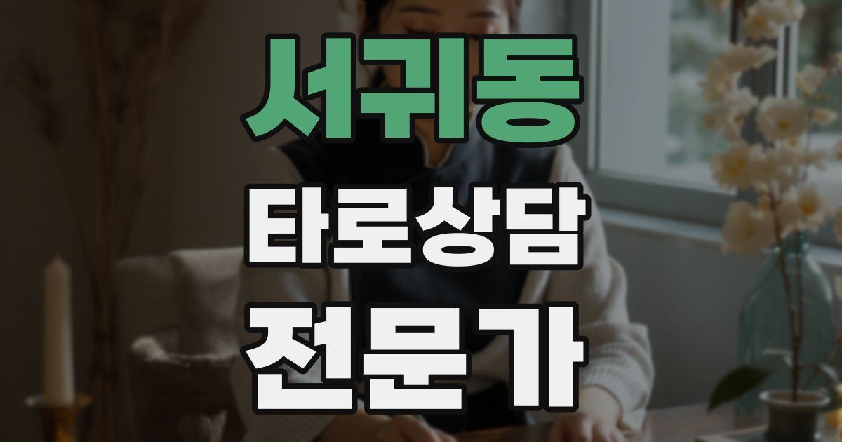 서귀동 타로상담전문가 자격증