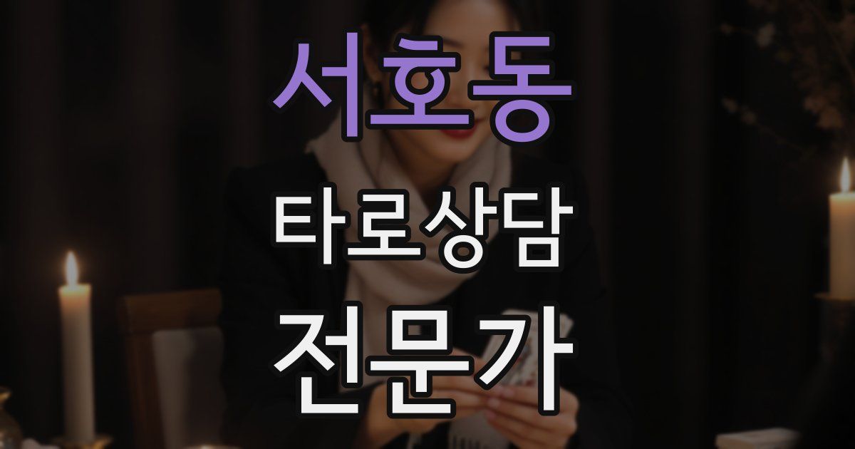 서호동 타로상담전문가 자격증
