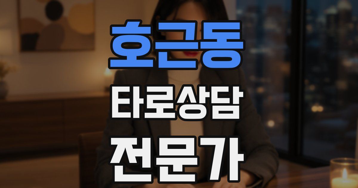 호근동 타로상담전문가 자격증