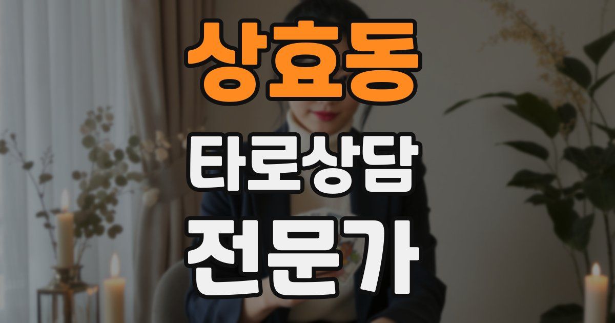 상효동 타로상담전문가 자격증