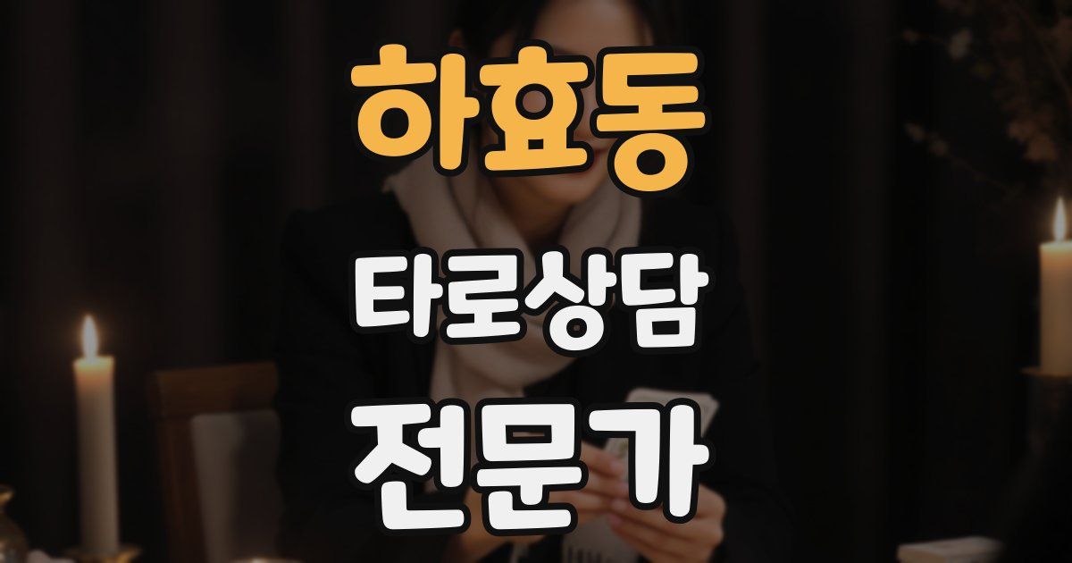 하효동 타로상담전문가 자격증