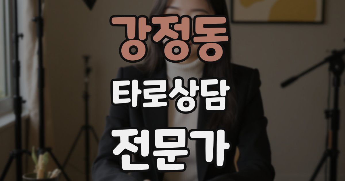 강정동 타로상담전문가 자격증
