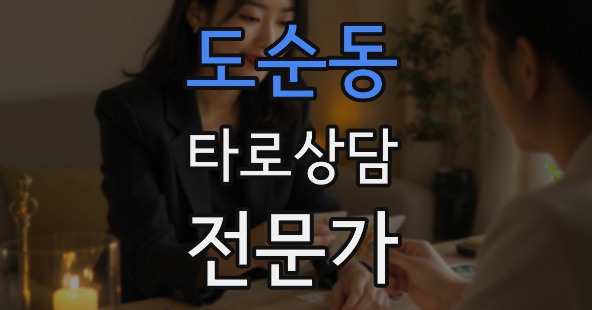도순동 타로상담전문가 자격증