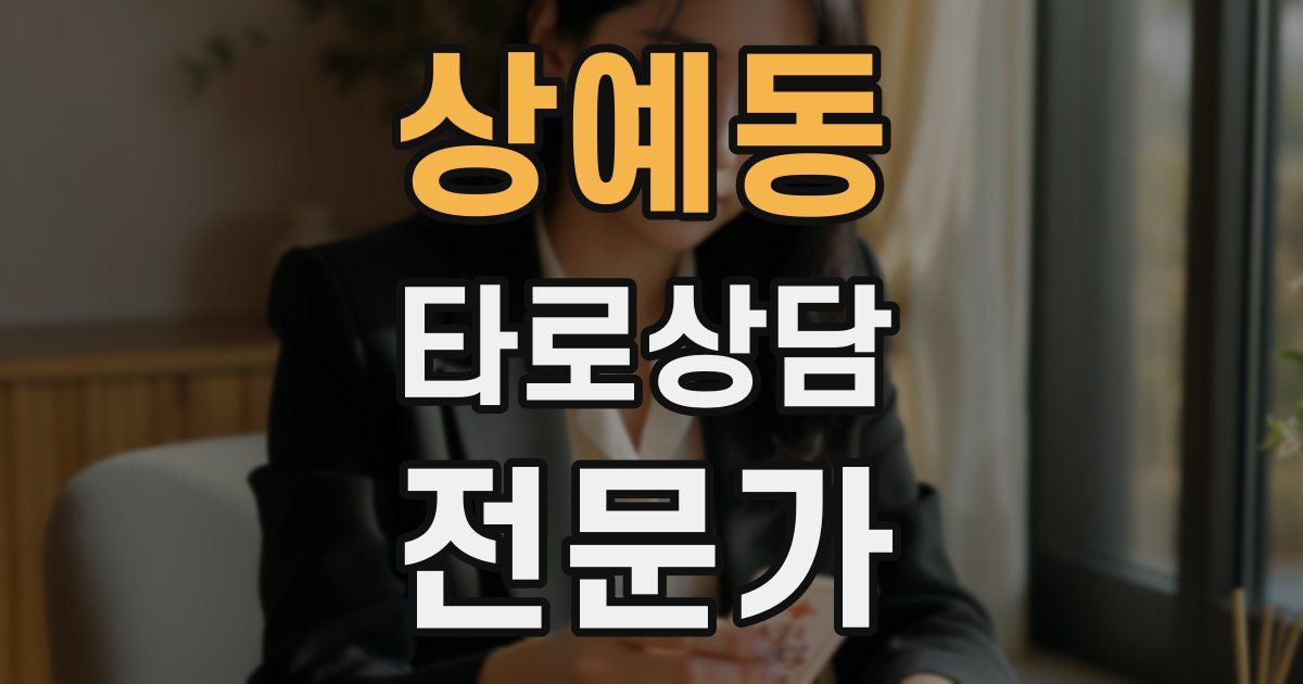 상예동 타로상담전문가 자격증