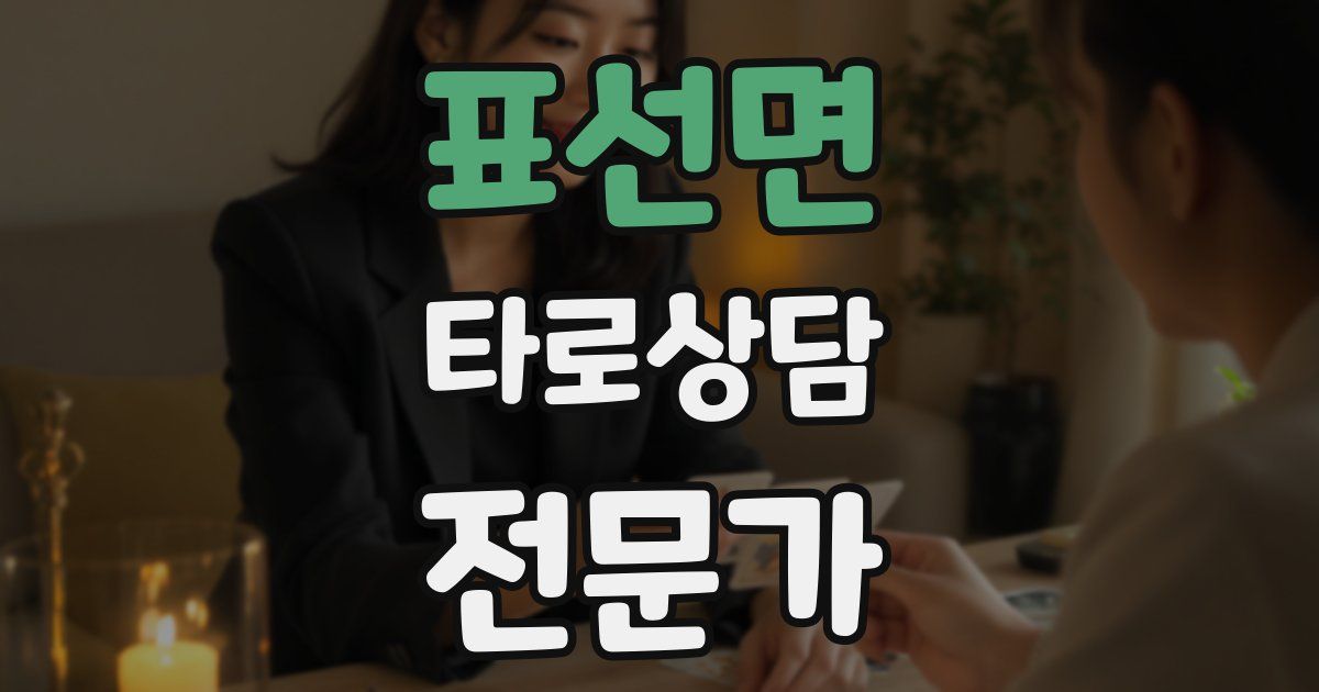 표선면 타로상담전문가 자격증
