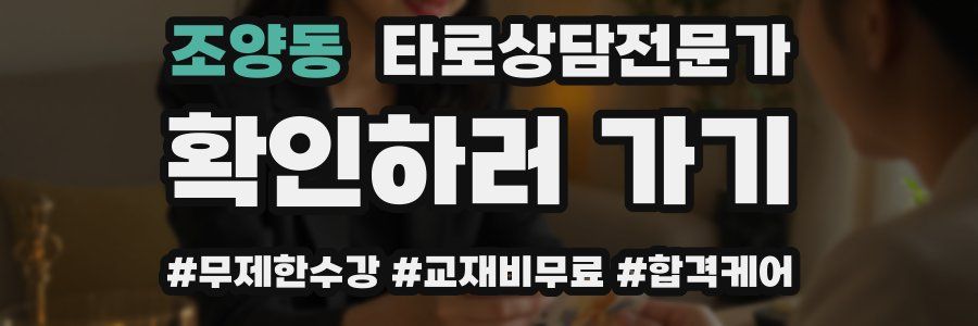 조양동 타로상담전문가 자격증