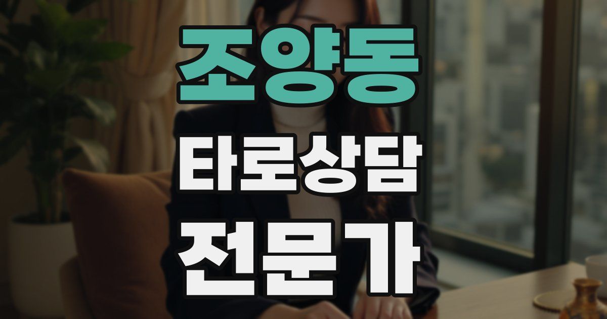 조양동 타로상담전문가 자격증