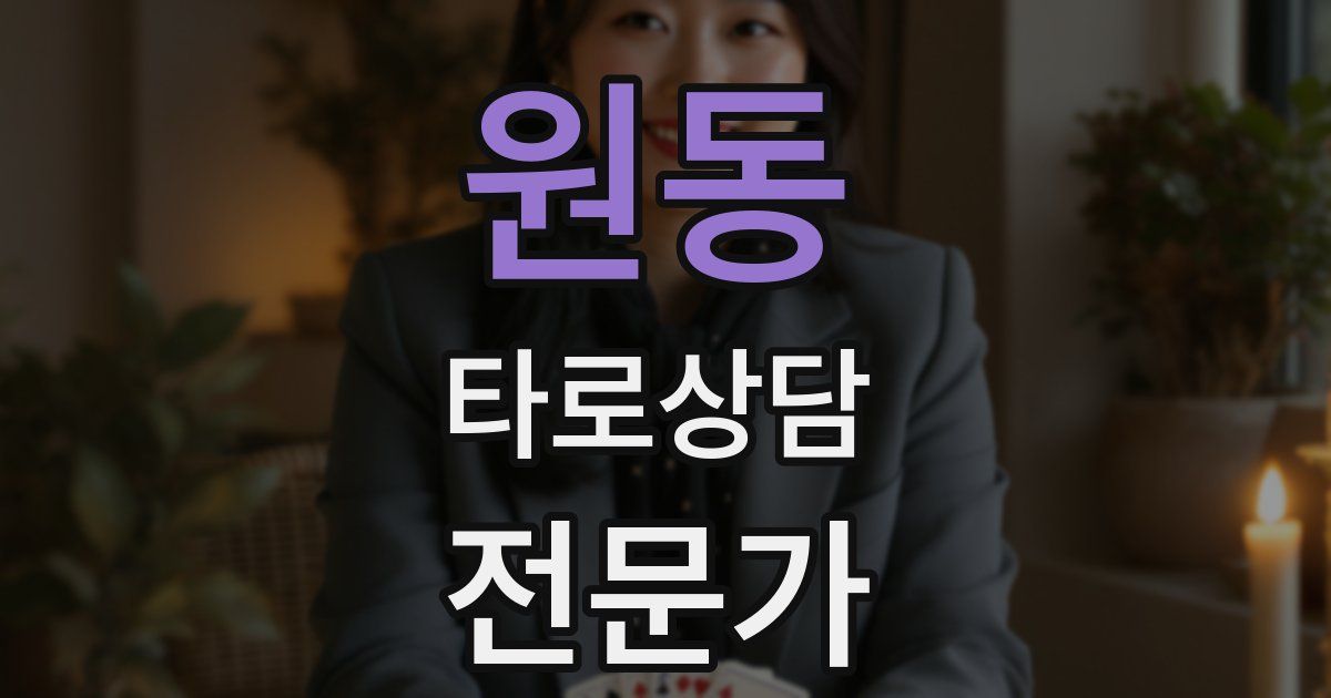 원동 타로상담전문가 자격증