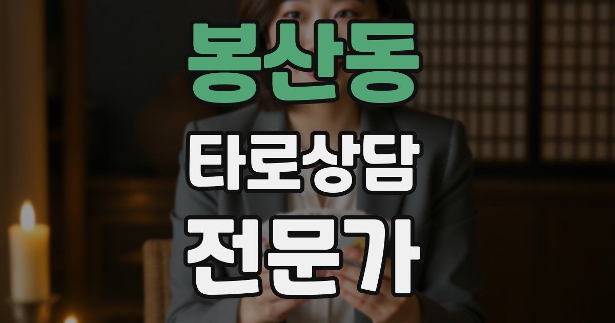 봉산동 타로상담전문가 자격증