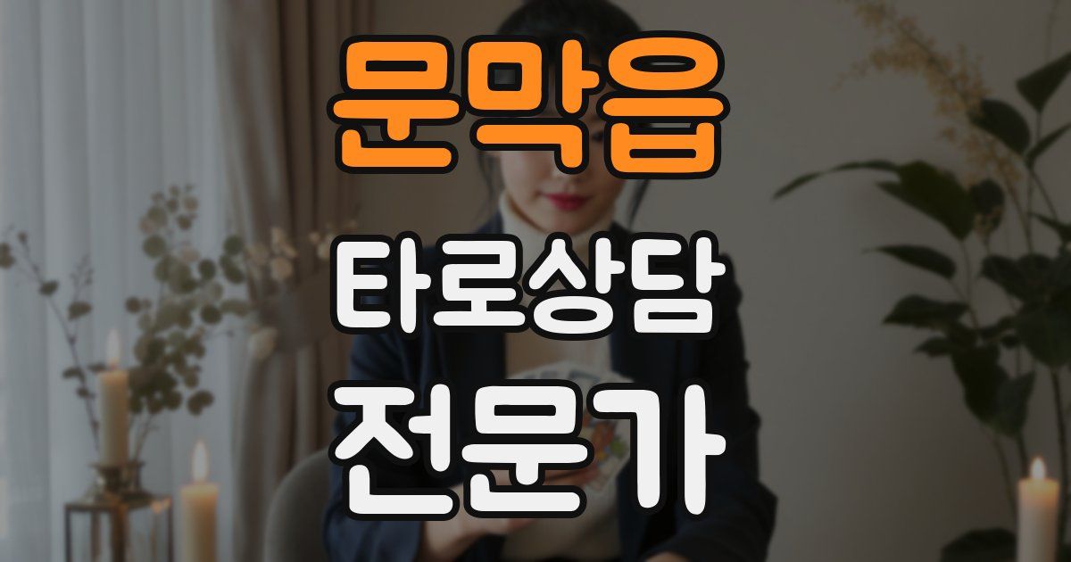 문막읍 타로상담전문가 자격증