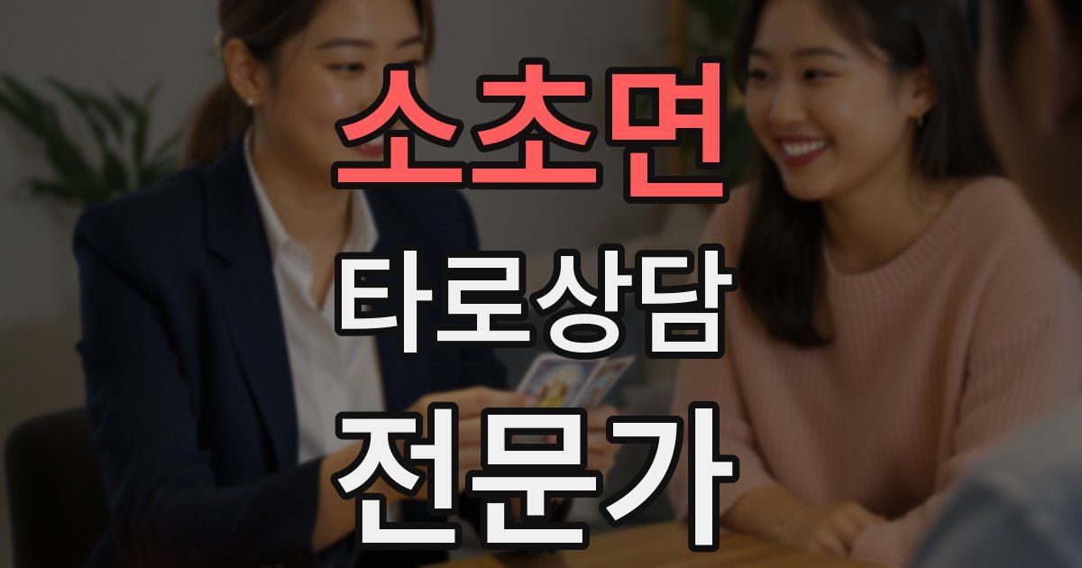 소초면 타로상담전문가 자격증