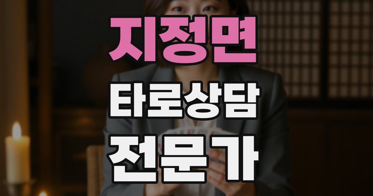 지정면 타로상담전문가 자격증