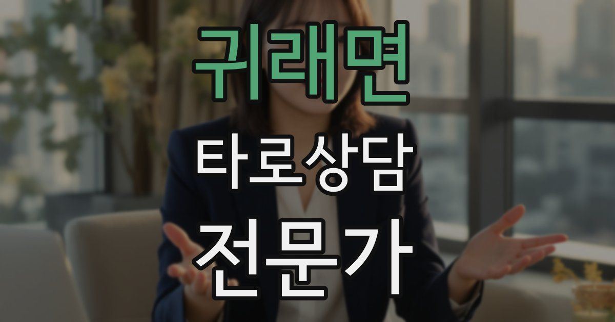 귀래면 타로상담전문가 자격증