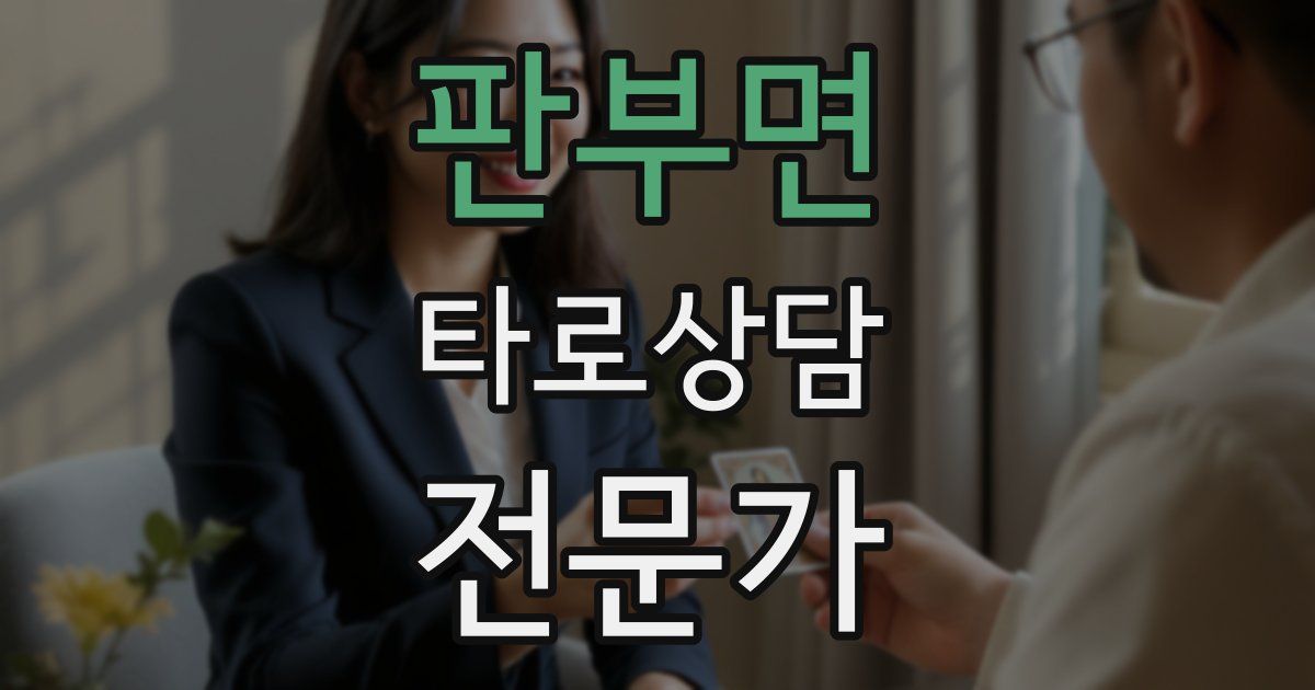 판부면 타로상담전문가 자격증