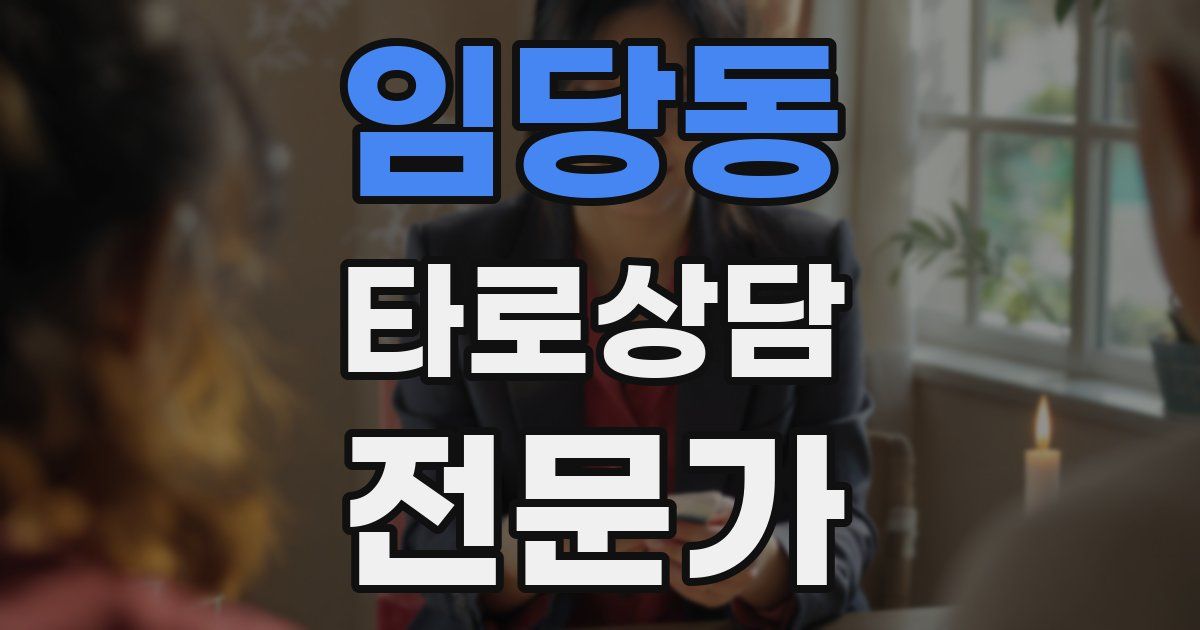 임당동 타로상담전문가 자격증