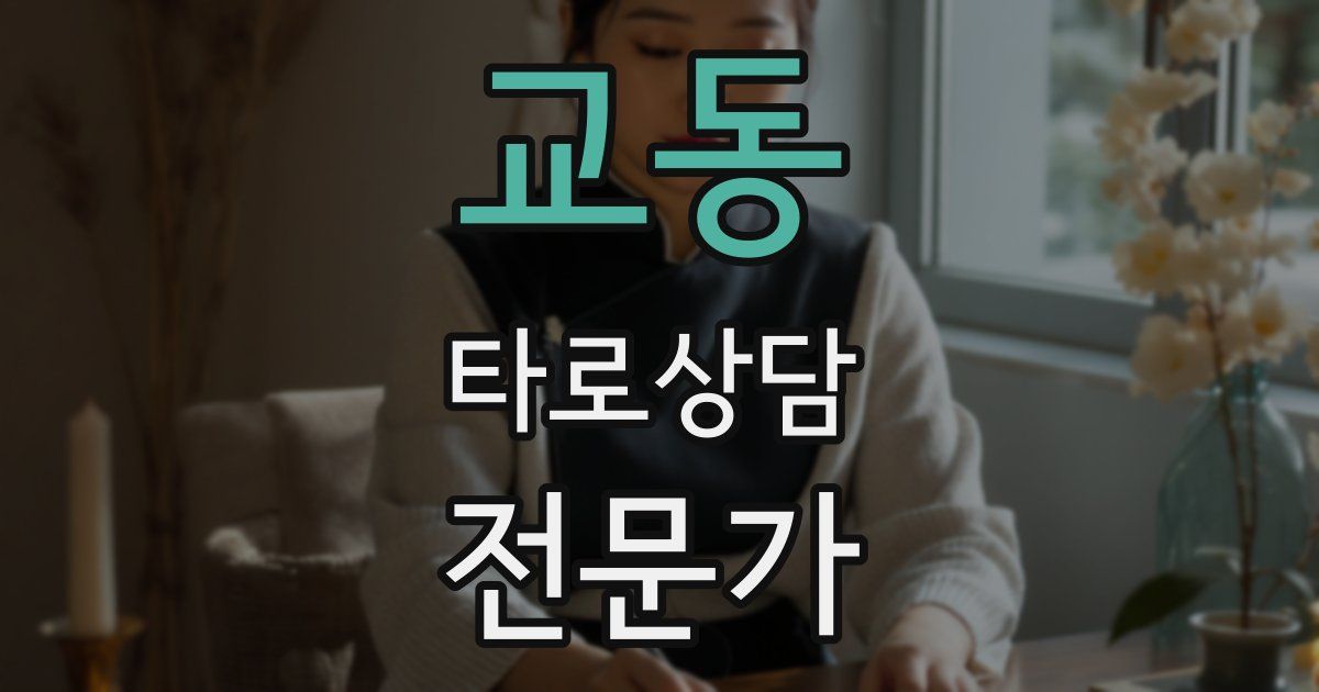 교동 타로상담전문가 자격증