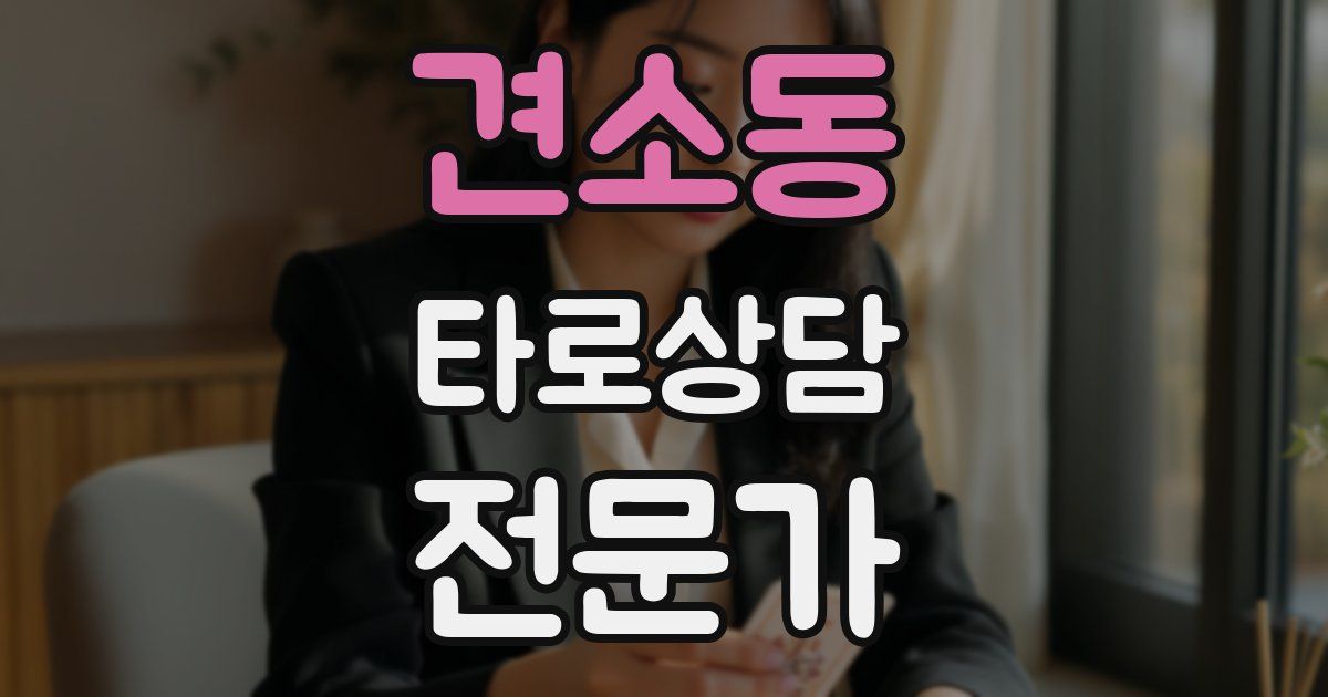 견소동 타로상담전문가 자격증