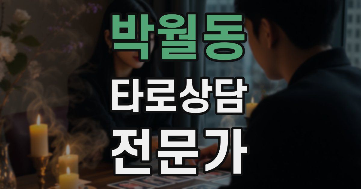 박월동 타로상담전문가 자격증