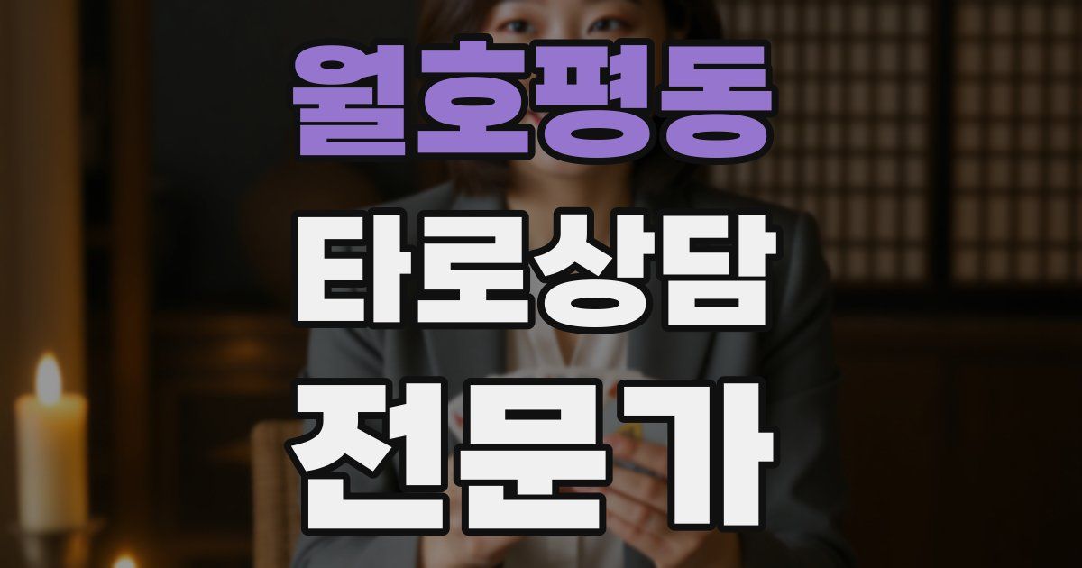 월호평동 타로상담전문가 자격증