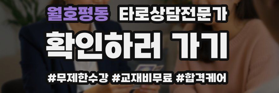 월호평동 타로상담전문가 자격증