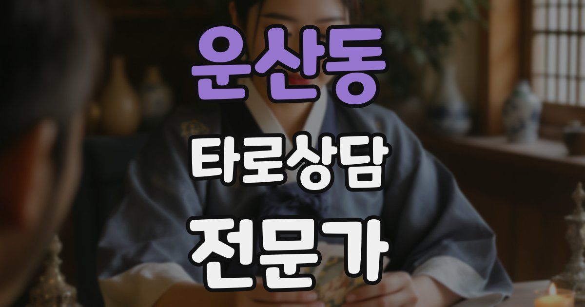 운산동 타로상담전문가 자격증