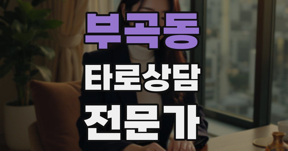 부곡동 타로상담전문가 자격증