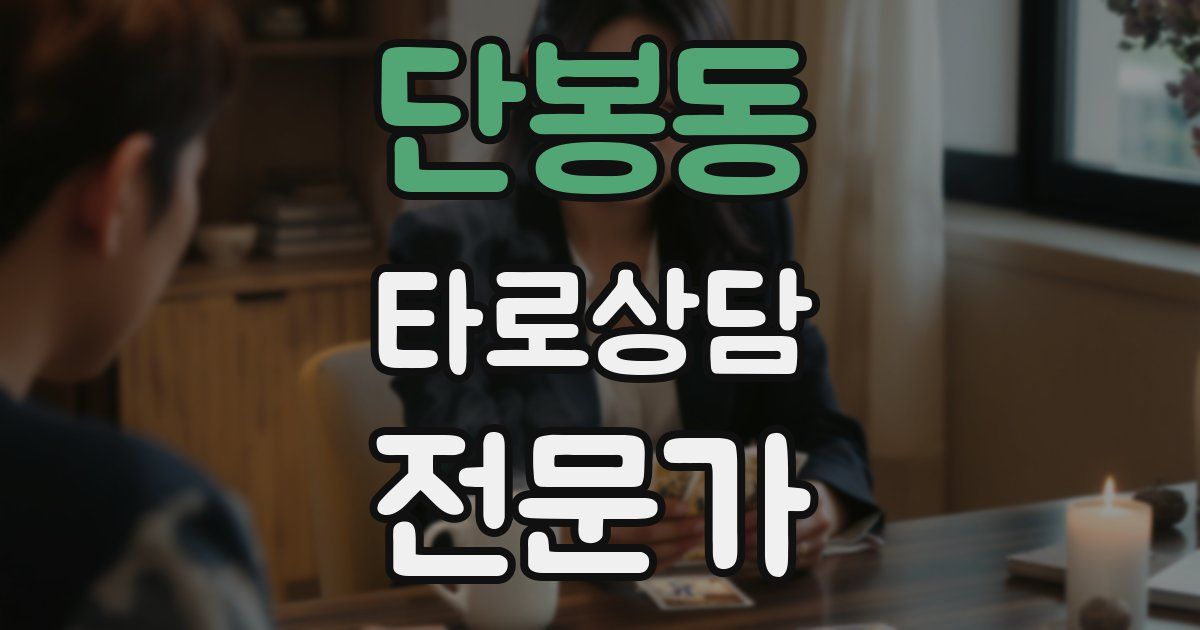 단봉동 타로상담전문가 자격증