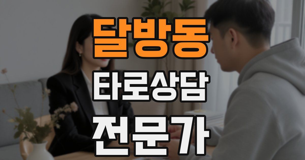 달방동 타로상담전문가 자격증