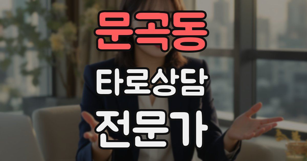 문곡동 타로상담전문가 자격증